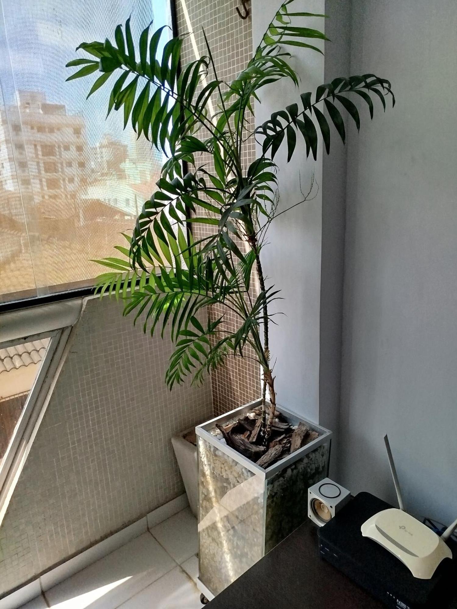 Apartamento Impecavel Na Enseada Guaruja Luaran gambar